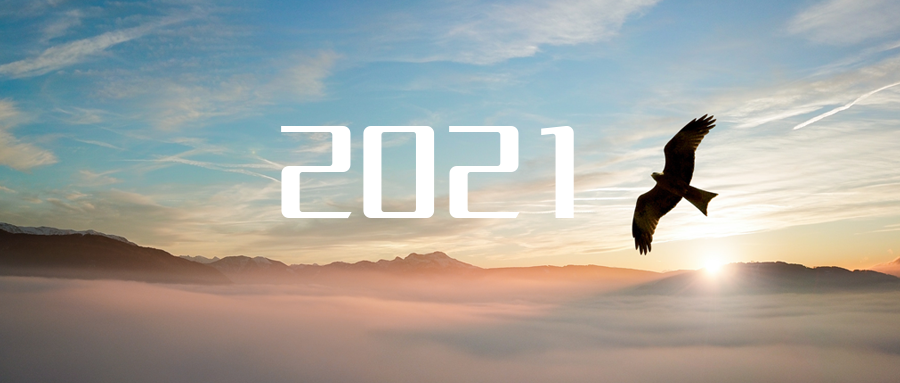 乘“峰”而上，智“盈”未來 ——2021年盈峰環(huán)境高級(jí)資深副總裁新年開工動(dòng)員